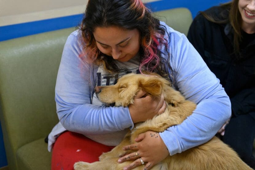 A woman sitting on a bench and hugging the same retriever