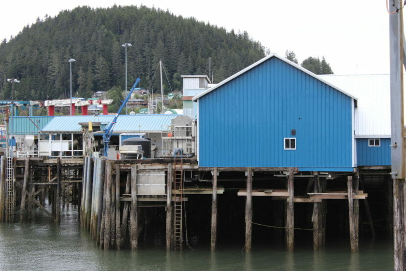 A collection of harborside buildings with a wooded hill in the background
