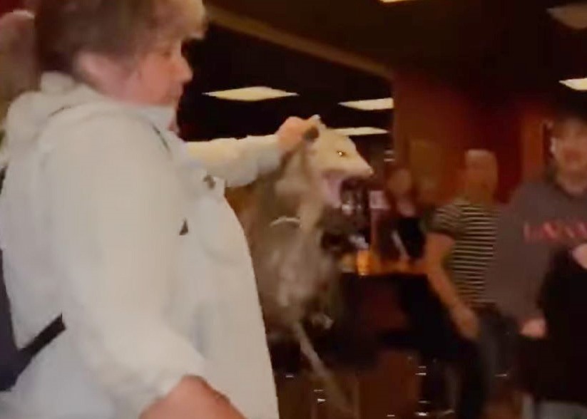 A woman holding a possum by the scruff of its neck in some hipster bar in Greenpoint, Brooklyn