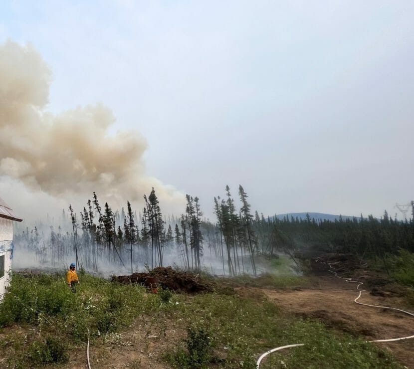 Smoldering and burnt spruce trees next to a cabin