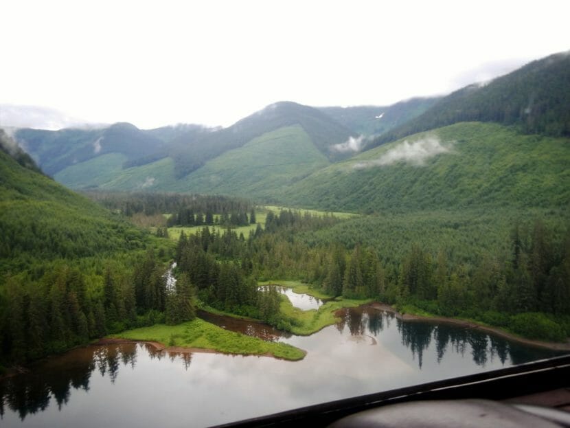 A view of a hilly landscape with clearcut slopes