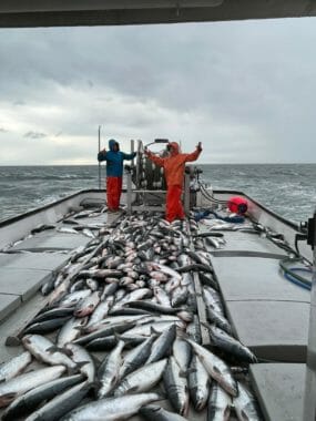 Two people celebrating on the deck of a boat filled with salmon
