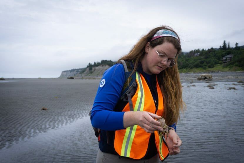 A woman in an orange safety vest holding a crab