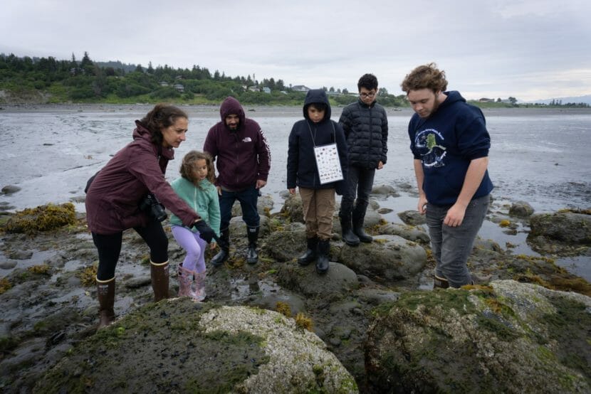 A group of people on a beach looking at a cluster of rocks