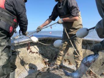 Tw men pulling a net over the bow of a boat