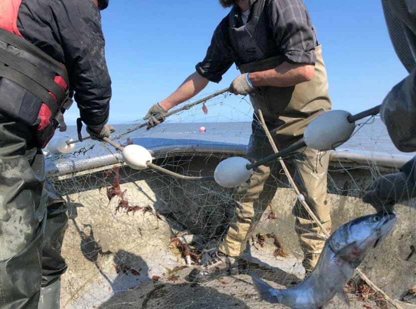 Tw men pulling a net over the bow of a boat