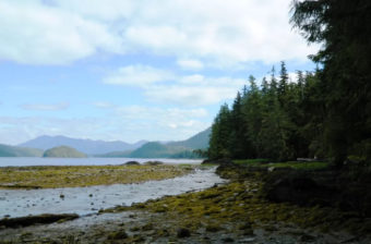 A hilly, wooded coastline