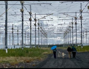 Three people walk two huskies down a gravel road flanked by