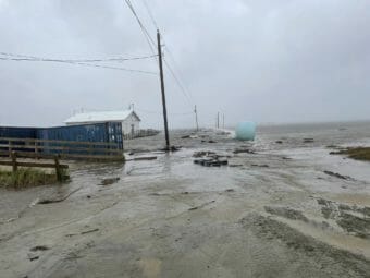 Debris strewn along a flooded shoreline