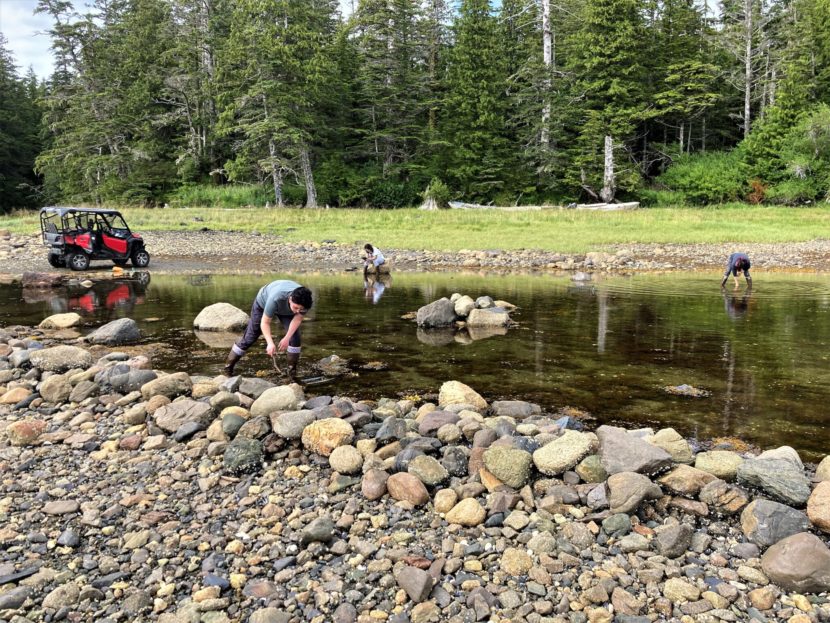 People wading in shallow water and reaching down to find crabs