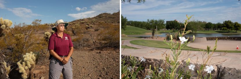 A woman in a floppy hat stands in the desert (left) and flowers in a green park (right)