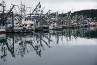 A row of docked fishing boats