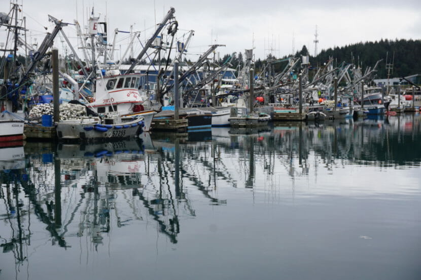 A row of docked fishing boats