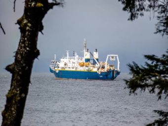 A large, blue-and-white ship seen through trees on the shore