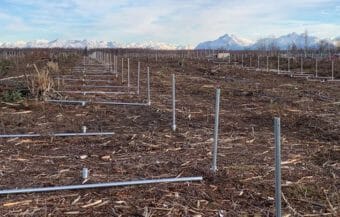 A large, open field with metal pipes laid out to eventually hold solar panels.