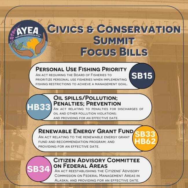 Image of the AYEA Summit Agenda