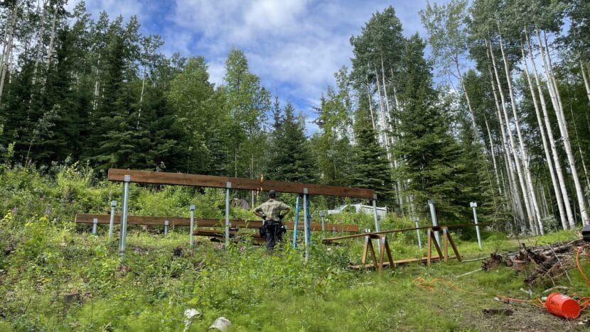 A man stands with his hands on his hips, looking at a series of beams on support pillars. The pillars and man stand in a green field, surrounded by trees, with a partly cloudy blue sky above.