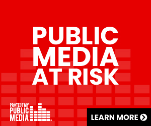 Public media at risk