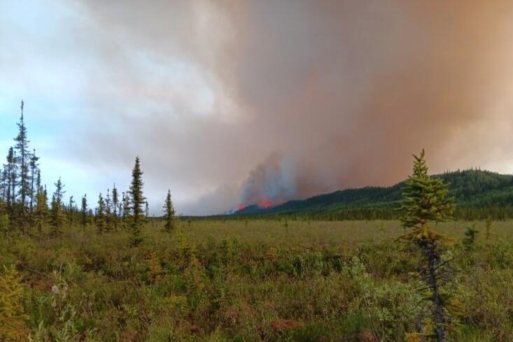 A photo Billy Owens took of the Bear Creek fire on June 19, 2025, looking back at his property after evacuating.