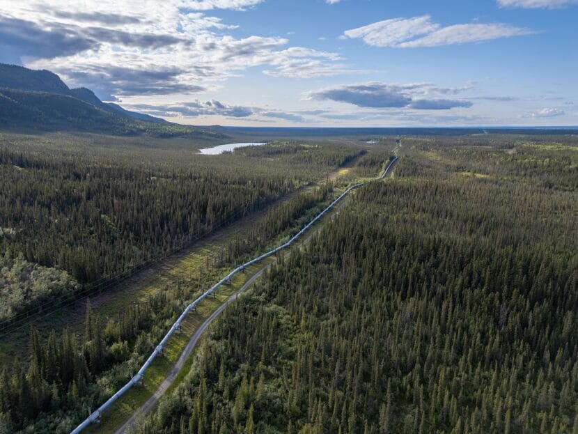 The Trans-Alaska Pipeline crosses the landscape, seen here south of Copper Center, Alaska on August 13, 2024.
