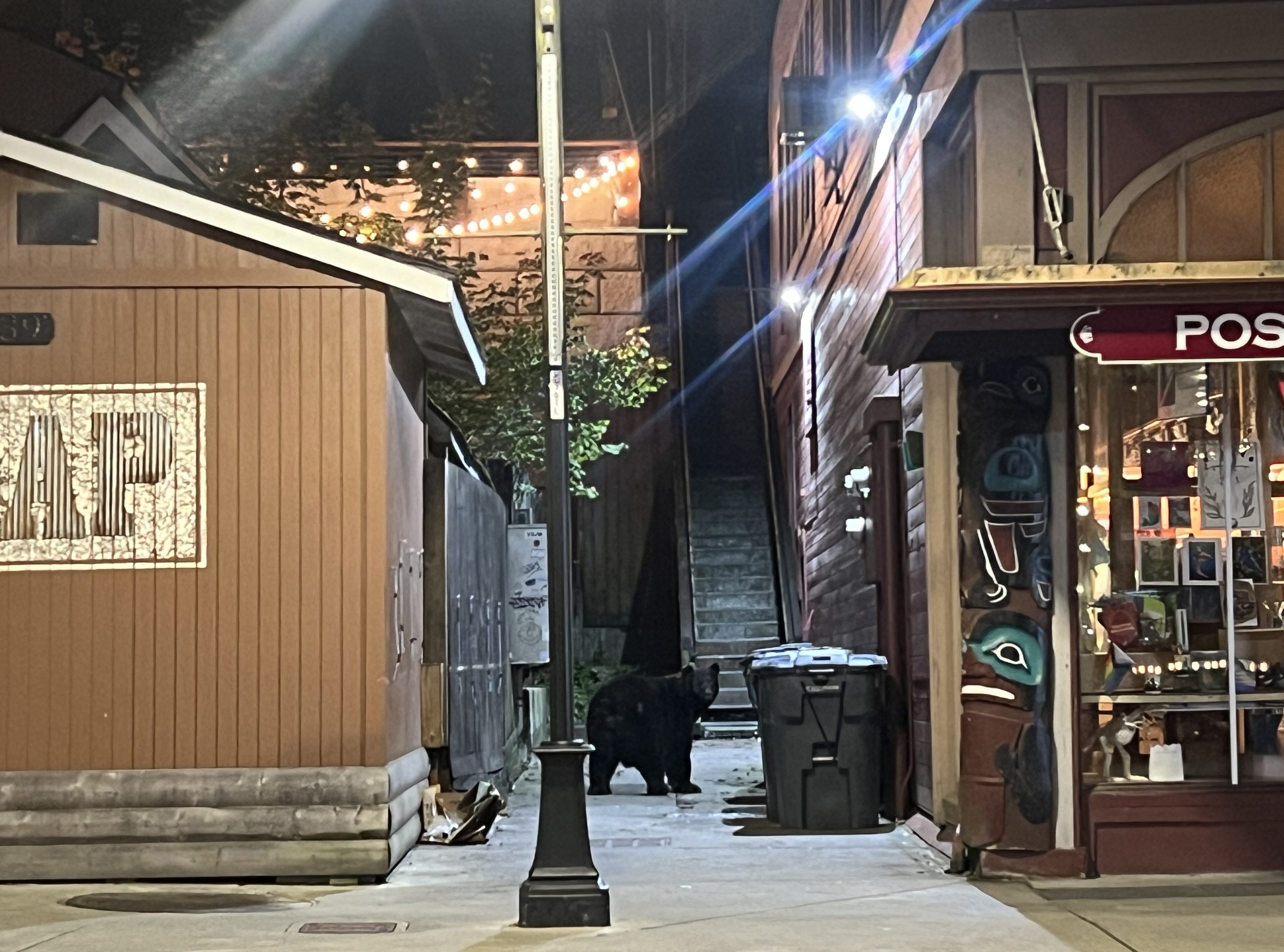 A black bear glances back at the people yelling from the sidewalk in front of the Triangle Club before ascending the stairs. (Photo by Alix Soliman/KTOO) 