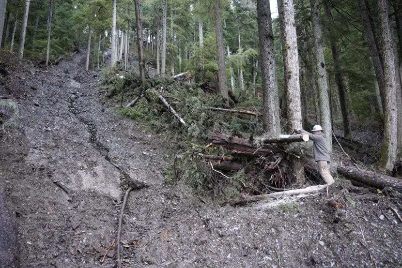 Mark Krumwiede saws through a tree along the edge a landslide that washed out Auke Lake Trail in September 2025. (Photo by Alix Soliman/KTOO)