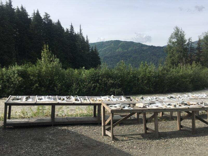 Core rock samples at the Palmer Project.