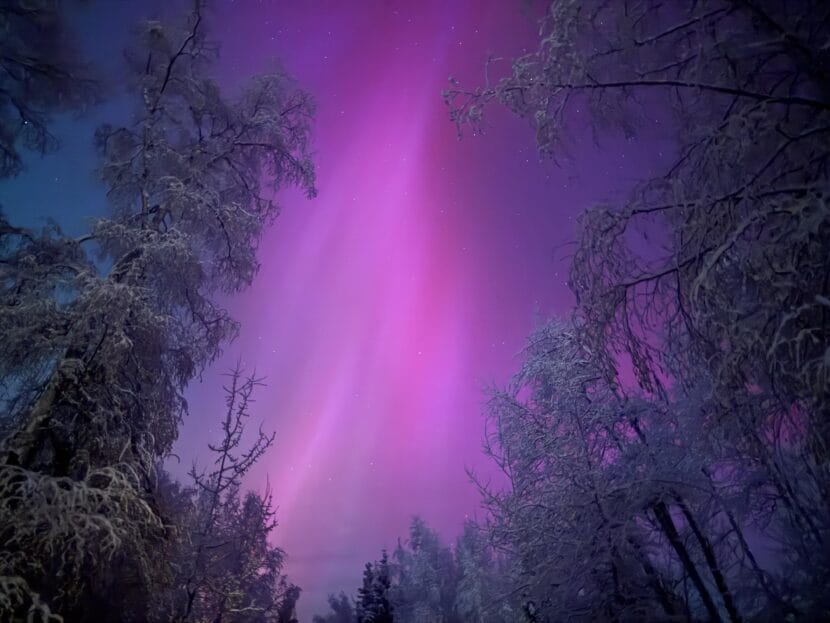 The aurora visible from west Fairbanks on Nov. 11, 2025.