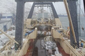 Factory Trawlers like the F/T Alaska Ocean, pictured here in Dutch Harbor in 2023, harvest Alaska pollock in the Bering Sea and process it onboard, producing fillets, surimi and fish oil all aboard the ship.
