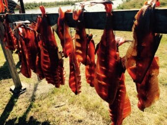 Kuskokwim River salmon drying on a rack at a fish camp near Napaskiak, 2016.