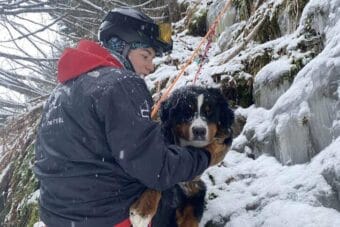 A person holding a dog in the snow