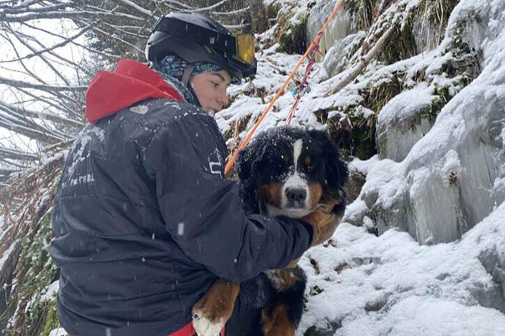 A person holding a dog in the snow