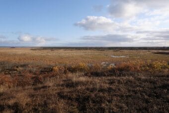 The tundra surrounding Bethel, Alaska turns red and gold in the fall.