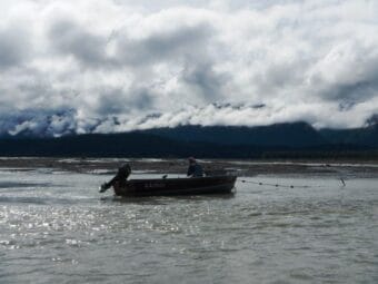 A subsistence fisherman checking his net in the Chilkat River.