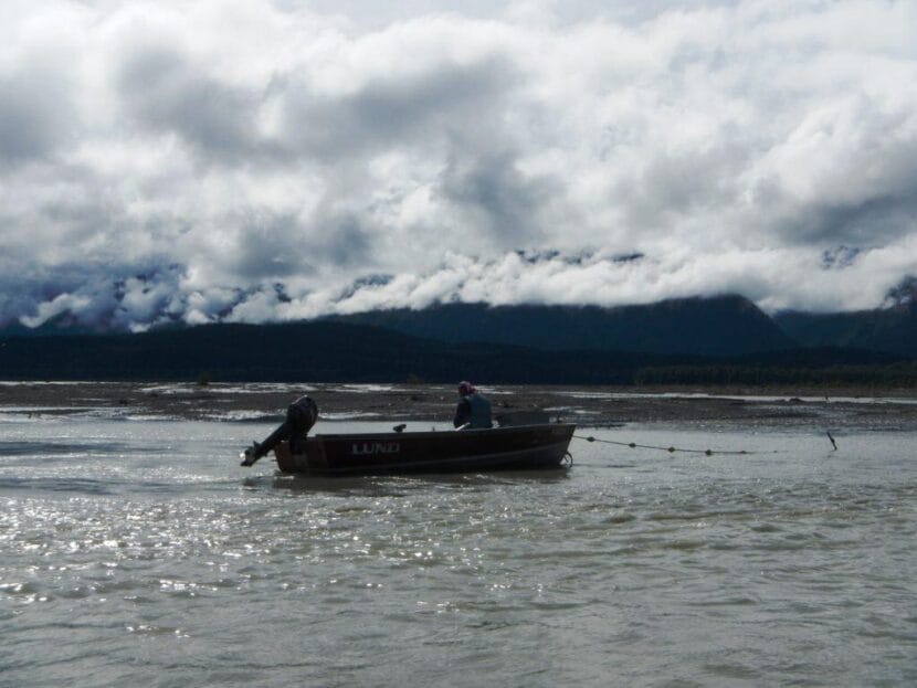 A subsistence fisherman checking his net in the Chilkat River.
