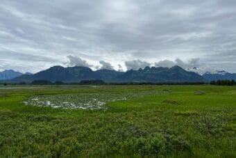 Researchers used air and water temperature from sites around the Copper River Delta to gauge climate impacts on wetlands.