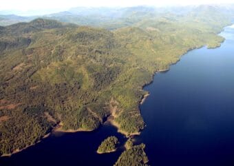 The western shores of Carroll Inlet in 2015. This region about 10 miles northeast of Ketchikan is part of the South Revilla project area, where the U.S. Forest Service proposes to offer more than 5,000 acres of old-growth Tongass National Forest to commercial loggers.