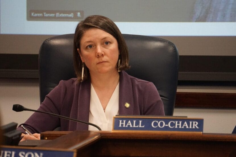 Rep. Carolyn Hall, D-Anchorage, listens to a speaker at a March 12, 2025, hearing of the House Labor and Commerce Committee, which she co-chairs. 